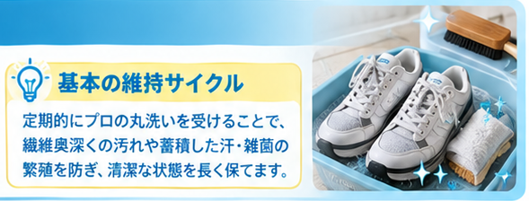 スニーカークリーニング頻度ガイド1