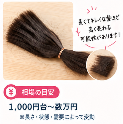 身体の一部と生活用品の売り方図鑑1-1