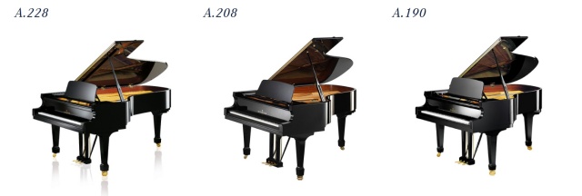 C.ベヒシュタイン_アカデミーシリーズ