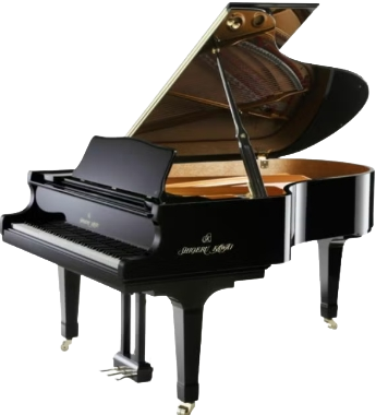 processed_カワイ SK5LN