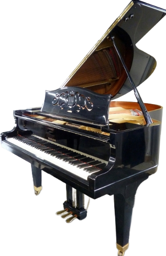 processed_ディアパソン DR300