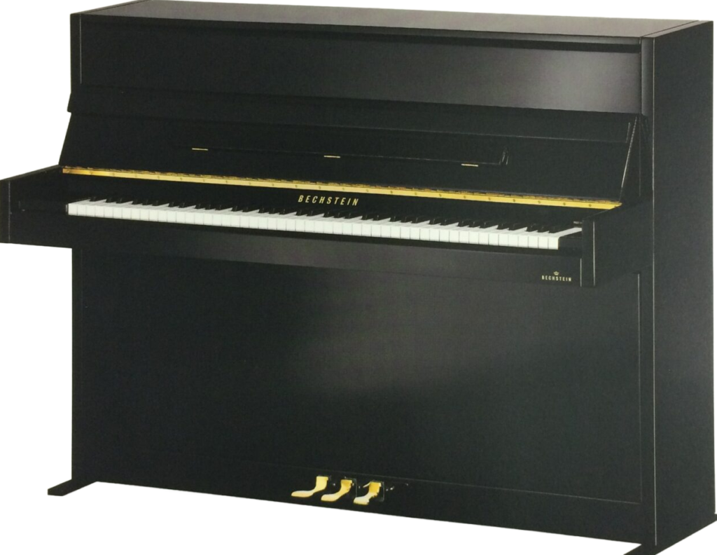 processed_ベヒシュタイン A114