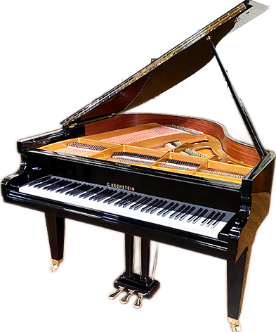 processed_ベヒシュタイン K158