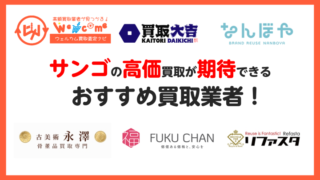 サンゴ アイキャッチ