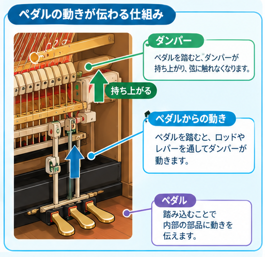 ピアノペダルの仕組み解説インフォグラフィック1