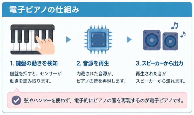 電子ピアノの基本情報ガイド1