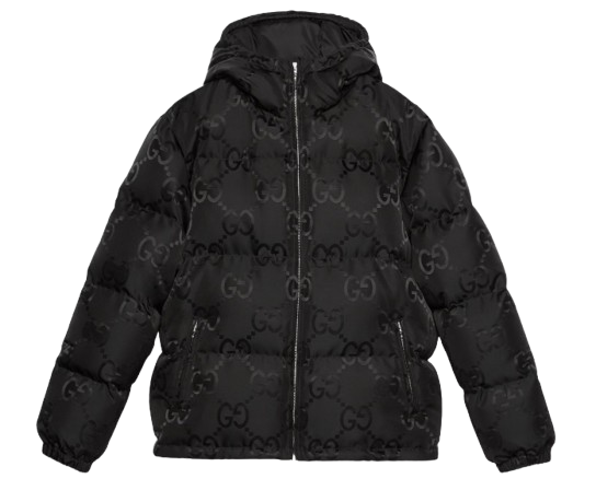 GGパターン_ダウンジャケット-removebg-preview