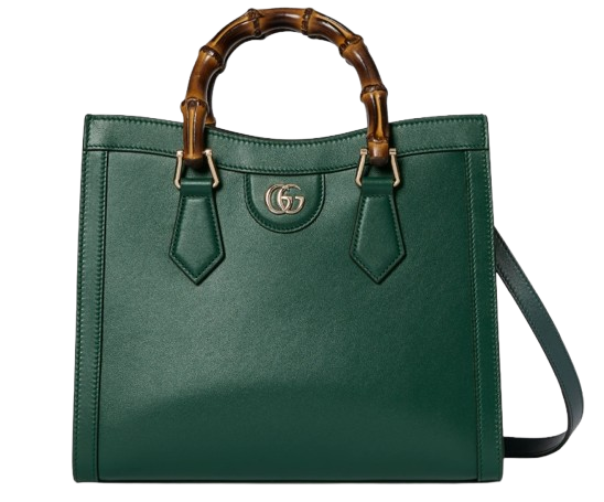 ダイアナ_トートバッグ-removebg-preview