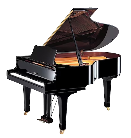 processed_C3L-SN (1)