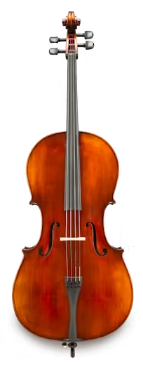 VC305