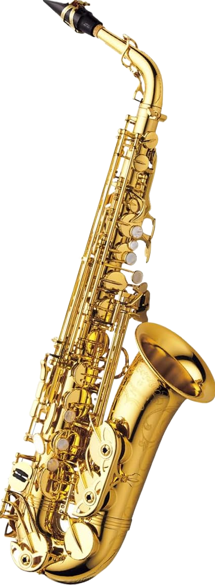 processed_A-WO10