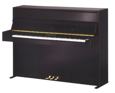 processed_A114 Modern