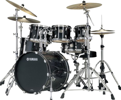processed_Birch Custom Absolute