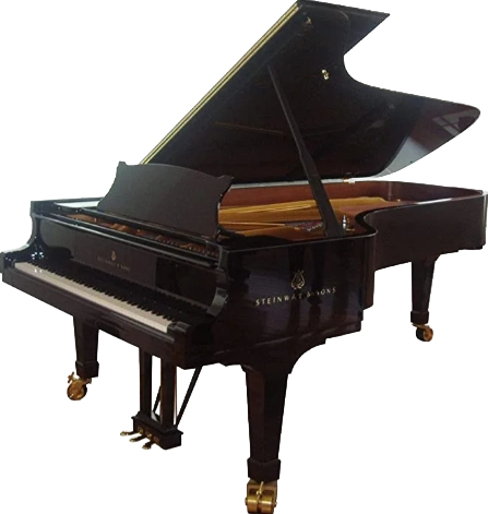 processed_STEINWAY&SONS(スタインウェイ＆サンズ)D型