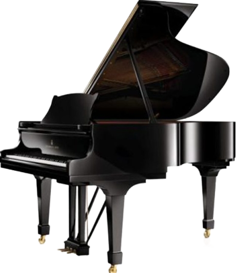 processed_スタインウェイ ピアノ A-188