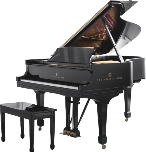 processed_スタインウェイ ピアノ B-211